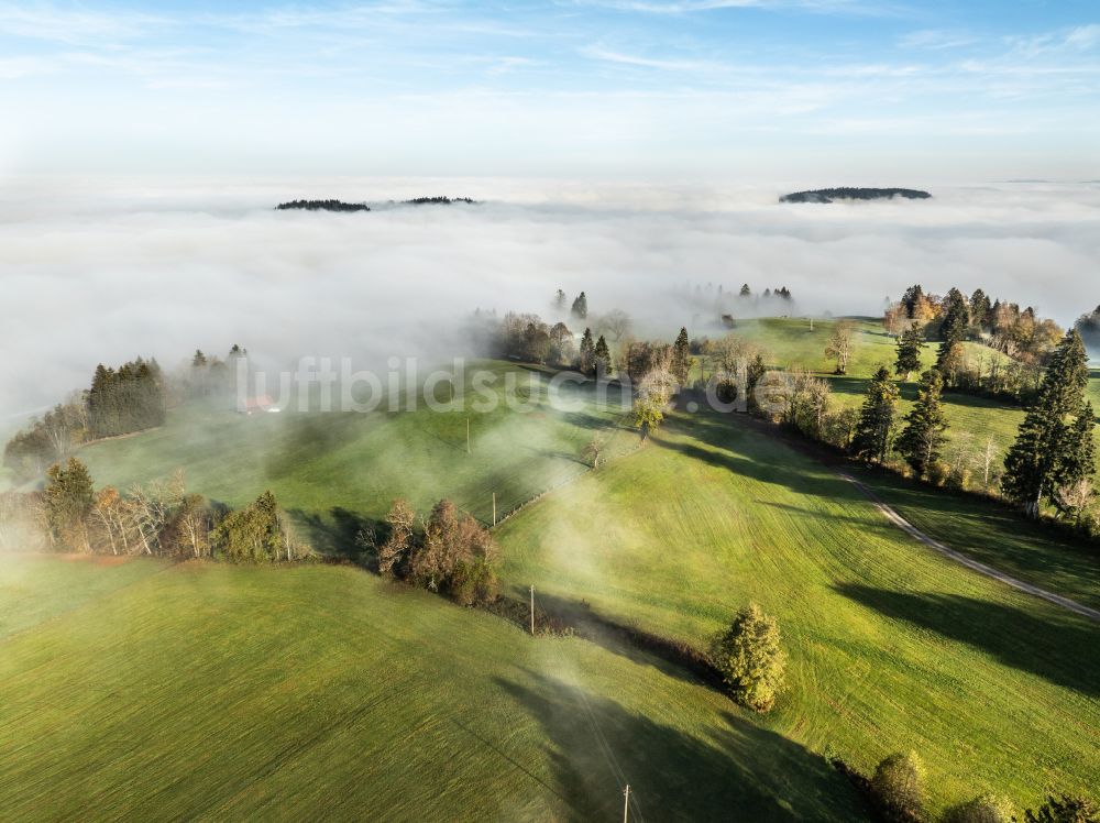 Oberreute von oben - Herbstluftbild Herbstluftbild Nebel- und Wolken- Schicht über Wald- und Wiesenlandschaft im Allgäu im Ortsteil Oberreute in Irsengund im Bundesland Bayern, Deutschland