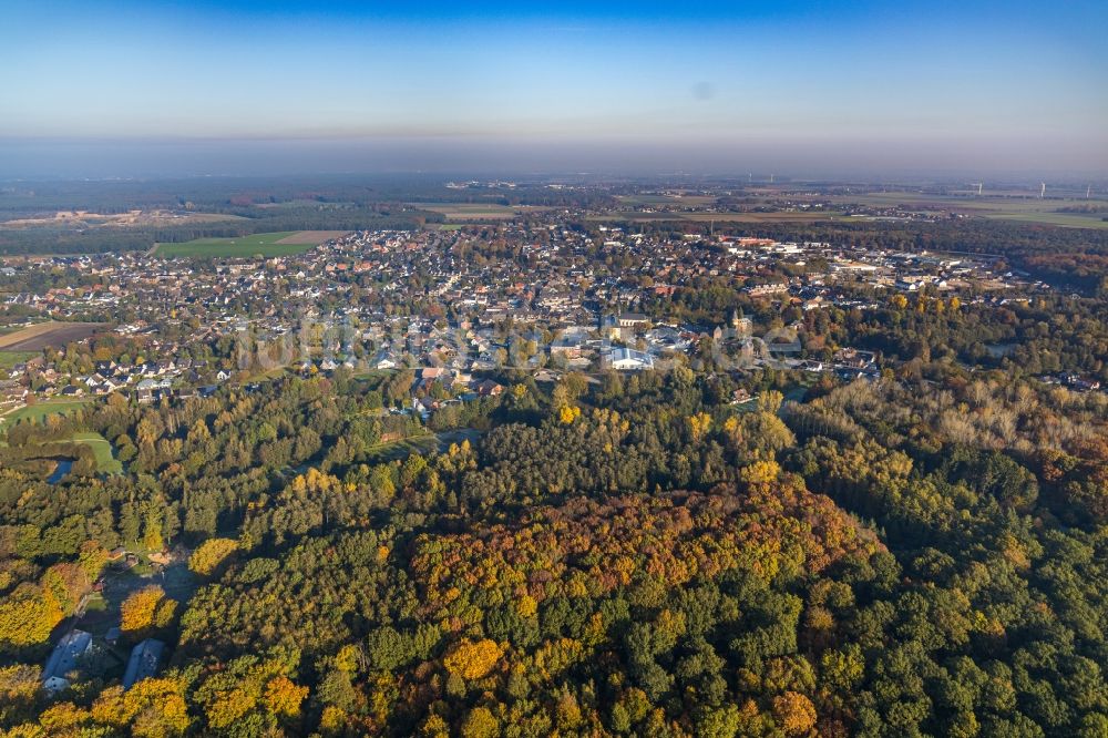 Luftaufnahme Overhetfeld - Herbstluftbild Laubbaum- Baumspitzen in einem Waldgebiet in Overhetfeld im Bundesland Nordrhein-Westfalen, Deutschland