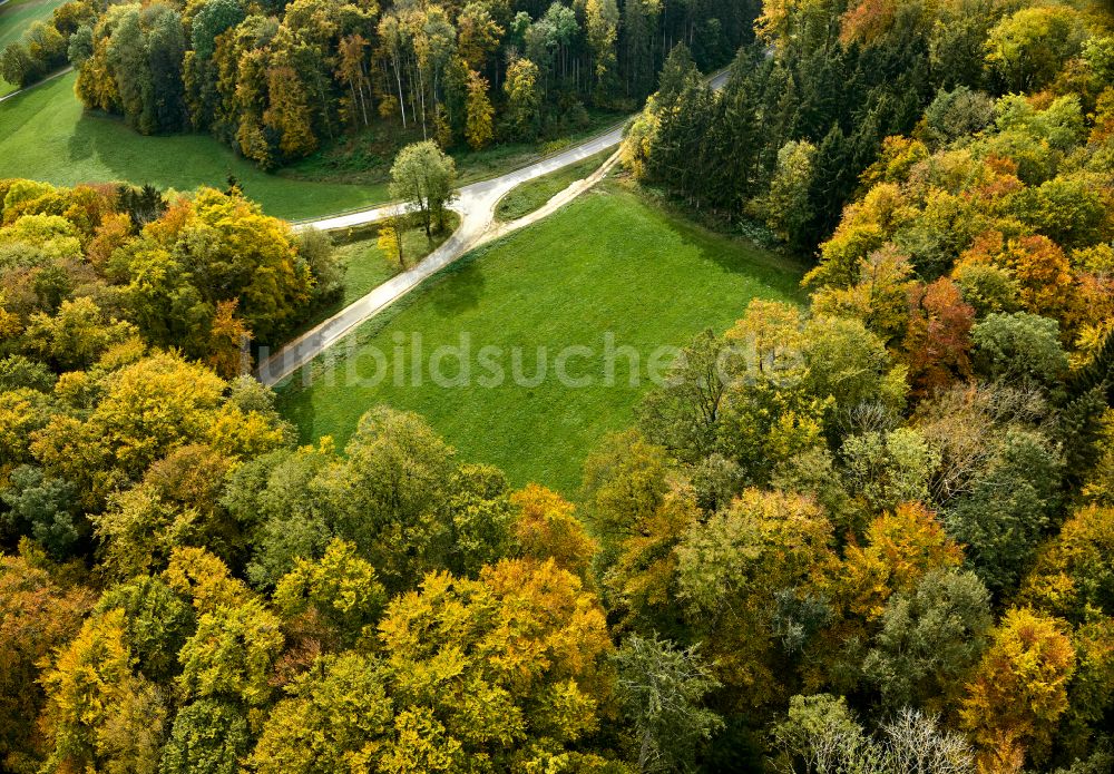 Luftbild Wiesensteig - Herbstluftbild Laubbaum- Baumspitzen in einem Waldgebiet in Wiesensteig im Bundesland Baden-Württemberg, Deutschland