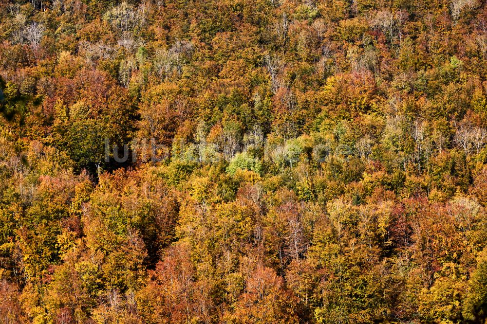 Luftaufnahme Wiesensteig - Herbstluftbild Laubbaum- Baumspitzen in einem Waldgebiet in Wiesensteig im Bundesland Baden-Württemberg, Deutschland