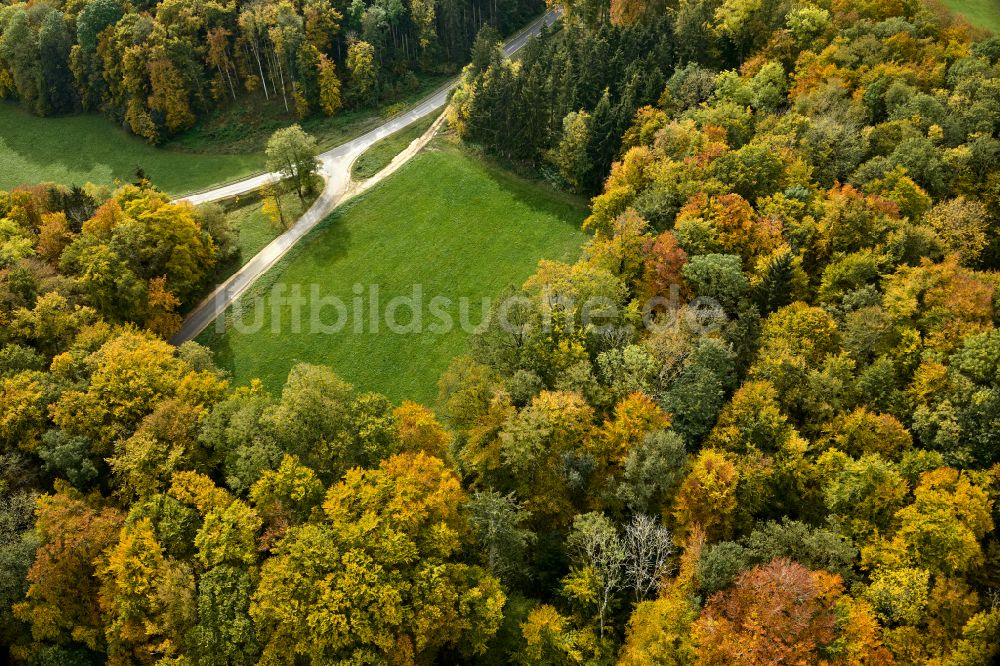 Luftbild Wiesensteig - Herbstluftbild Laubbaum- Baumspitzen in einem Waldgebiet in Wiesensteig im Bundesland Baden-Württemberg, Deutschland