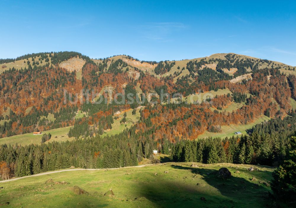 Lecknertal von oben - Herbstluftbild im Lecknertal im Bregenzer Wald in Vorarlberg, Österreich