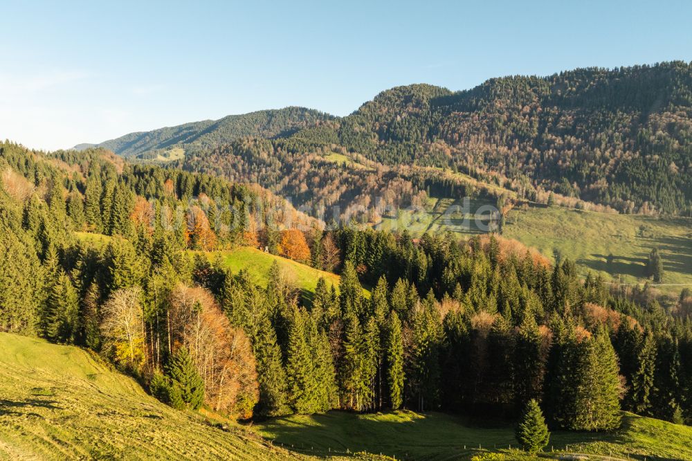 Oberstaufen aus der Vogelperspektive: Herbstluftbild Mittelgebirgslandschaft der Naglflugkette am Hündle in Oberstaufen im Bundesland Bayern, Deutschland