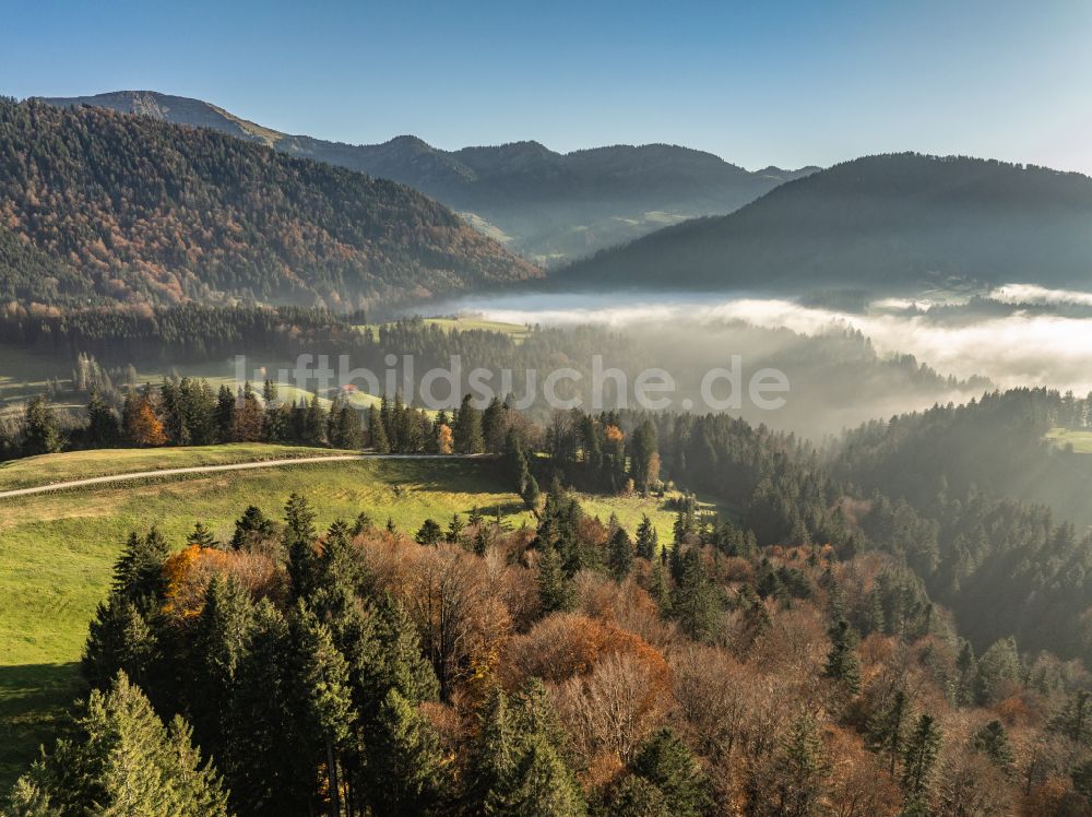 Luftbild Oberstaufen - Herbstluftbild Mittelgebirgslandschaft der Naglflugkette am Hündle in Oberstaufen im Bundesland Bayern, Deutschland