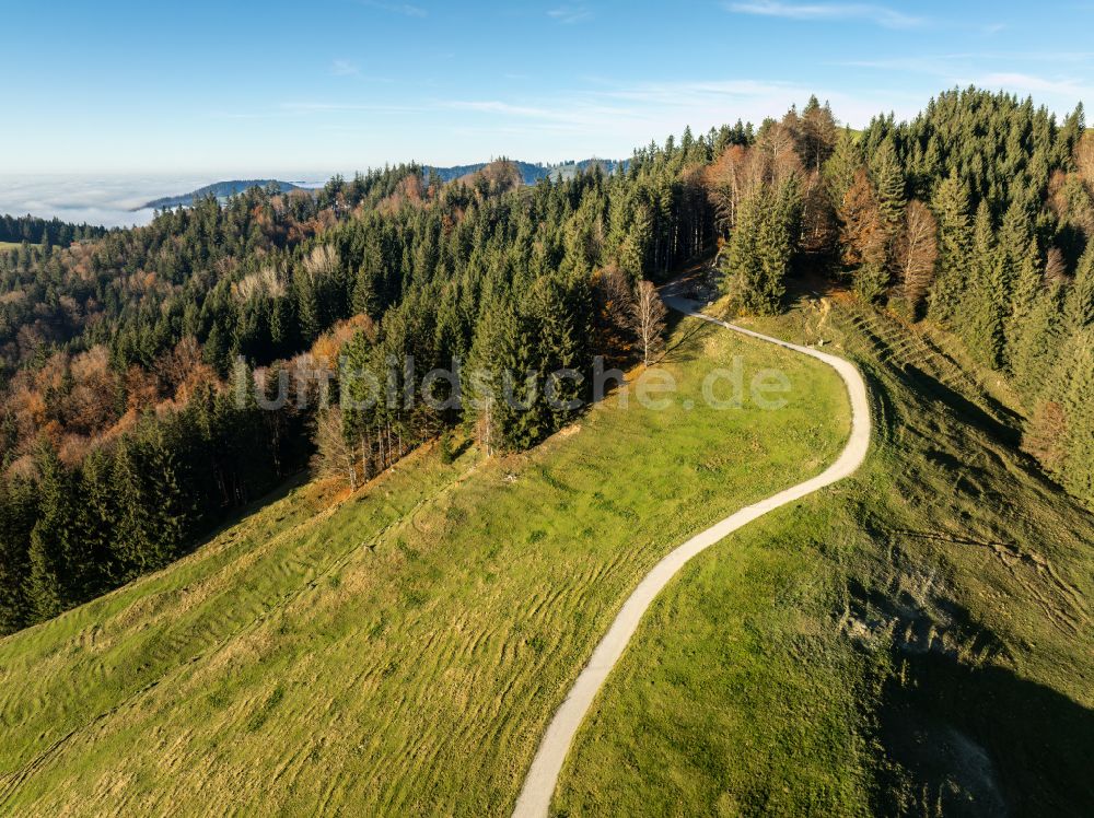 Oberstaufen aus der Vogelperspektive: Herbstluftbild Mittelgebirgslandschaft der Naglflugkette am Hündle in Oberstaufen im Bundesland Bayern, Deutschland