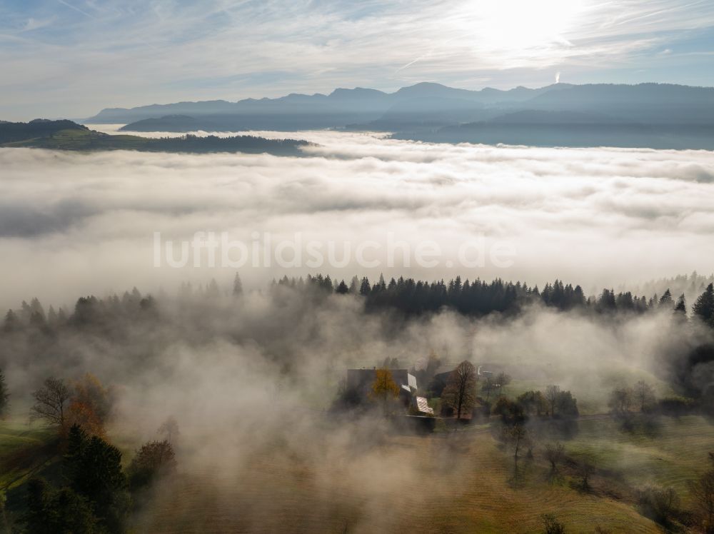 Irsengund aus der Vogelperspektive: Herbstluftbild Nebel- und Wolken- Schicht über Wald- und Wiesenlandschaft im Allgäu im Ortsteil Oberreute in Irsengund im Bundesland Bayern, Deutschland