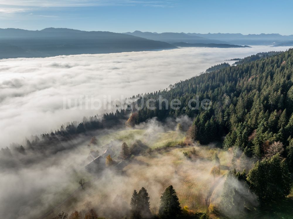 Luftbild Irsengund - Herbstluftbild Nebel- und Wolken- Schicht über Wald- und Wiesenlandschaft im Allgäu im Ortsteil Oberreute in Irsengund im Bundesland Bayern, Deutschland