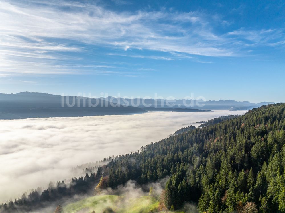 Irsengund aus der Vogelperspektive: Herbstluftbild Nebel- und Wolken- Schicht über Wald- und Wiesenlandschaft im Allgäu im Ortsteil Oberreute in Irsengund im Bundesland Bayern, Deutschland