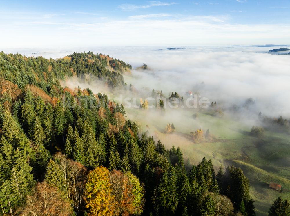 Luftbild Irsengund - Herbstluftbild Nebel- und Wolken- Schicht über Wald- und Wiesenlandschaft im Allgäu im Ortsteil Oberreute in Irsengund im Bundesland Bayern, Deutschland