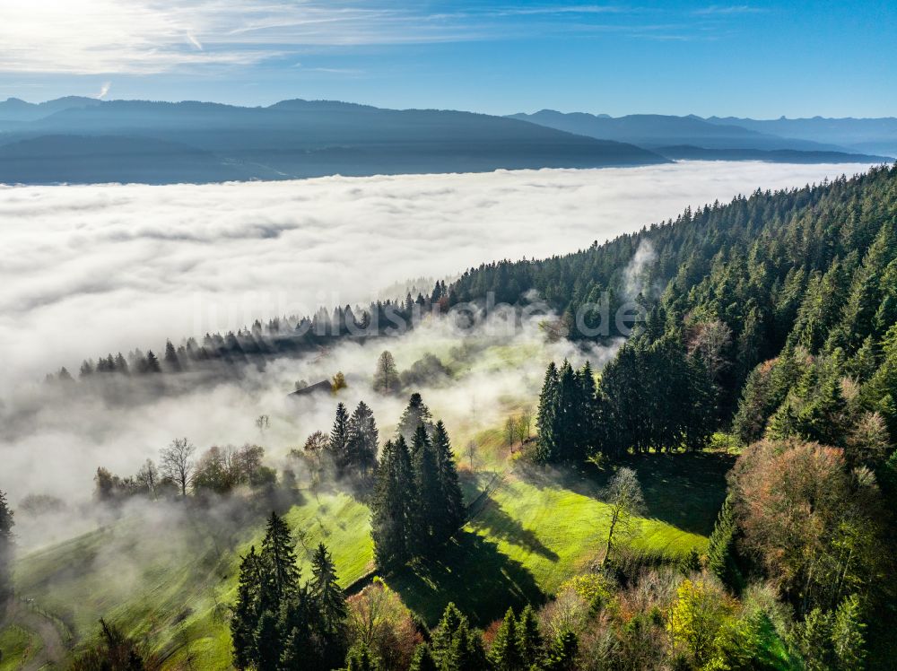 Irsengund von oben - Herbstluftbild Nebel- und Wolken- Schicht über Wald- und Wiesenlandschaft im Allgäu im Ortsteil Oberreute in Irsengund im Bundesland Bayern, Deutschland