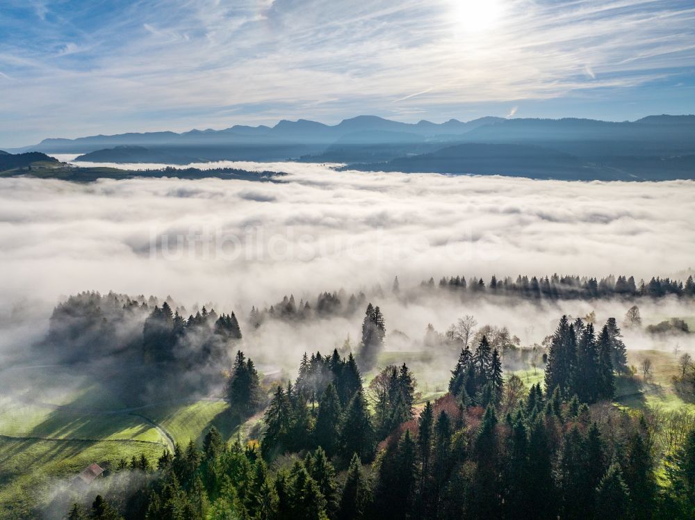 Irsengund aus der Vogelperspektive: Herbstluftbild Nebel- und Wolken- Schicht über Wald- und Wiesenlandschaft im Allgäu im Ortsteil Oberreute in Irsengund im Bundesland Bayern, Deutschland