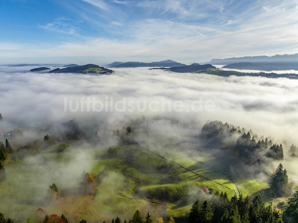 Luftbild Irsengund - Herbstluftbild Nebel- und Wolken- Schicht über Wald- und Wiesenlandschaft im Allgäu im Ortsteil Oberreute in Irsengund im Bundesland Bayern, Deutschland