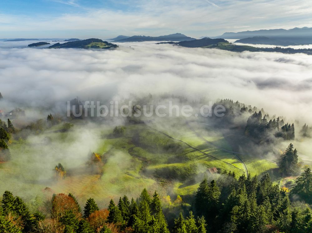 Luftaufnahme Irsengund - Herbstluftbild Nebel- und Wolken- Schicht über Wald- und Wiesenlandschaft im Allgäu im Ortsteil Oberreute in Irsengund im Bundesland Bayern, Deutschland