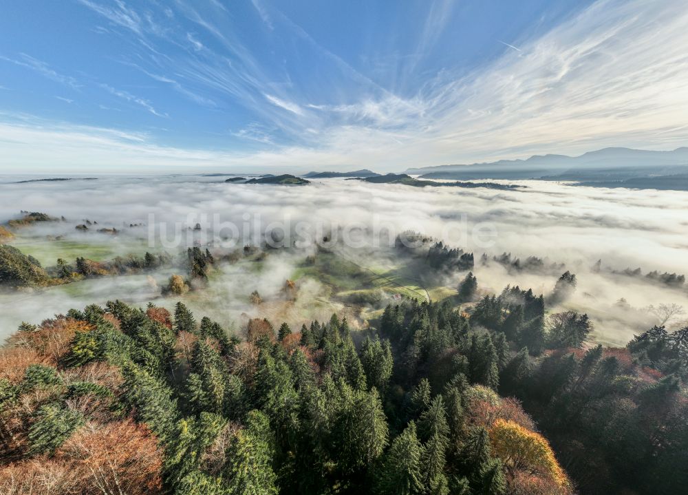 Irsengund aus der Vogelperspektive: Herbstluftbild Nebel- und Wolken- Schicht über Wald- und Wiesenlandschaft im Allgäu im Ortsteil Oberreute in Irsengund im Bundesland Bayern, Deutschland