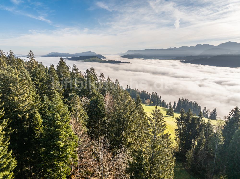 Luftaufnahme Irsengund - Herbstluftbild Nebel- und Wolken- Schicht über Wald- und Wiesenlandschaft im Allgäu im Ortsteil Oberreute in Irsengund im Bundesland Bayern, Deutschland