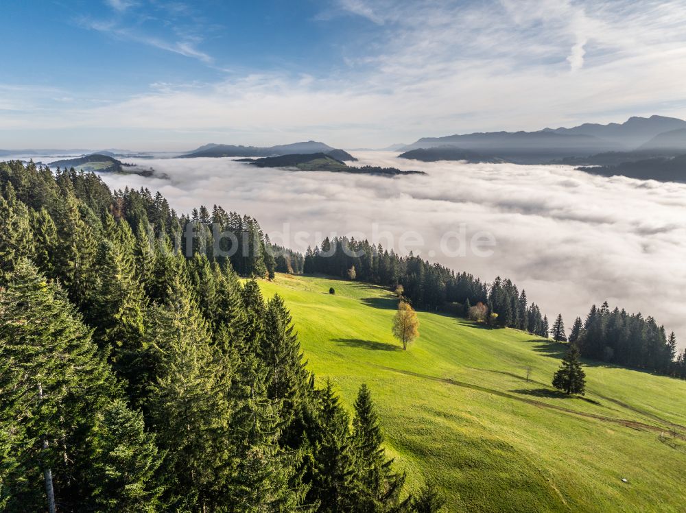 Irsengund von oben - Herbstluftbild Nebel- und Wolken- Schicht über Wald- und Wiesenlandschaft im Allgäu im Ortsteil Oberreute in Irsengund im Bundesland Bayern, Deutschland