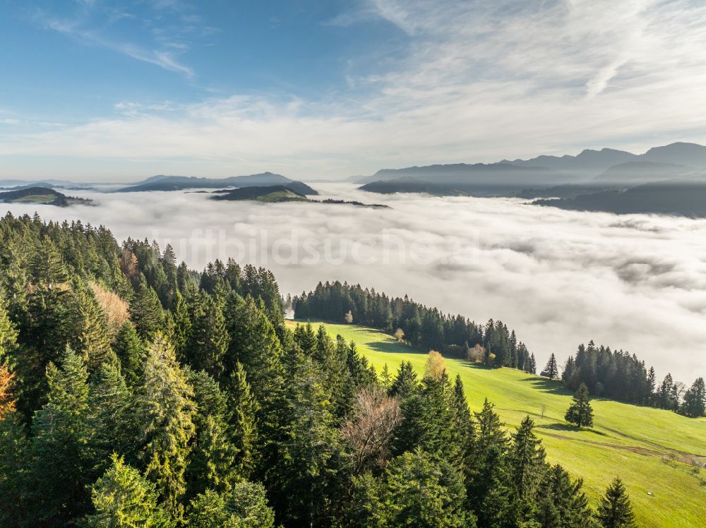 Irsengund von oben - Herbstluftbild Nebel- und Wolken- Schicht über Wald- und Wiesenlandschaft im Allgäu im Ortsteil Oberreute in Irsengund im Bundesland Bayern, Deutschland