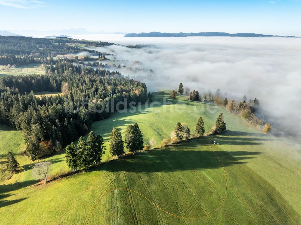 Irsengund aus der Vogelperspektive: Herbstluftbild Nebel- und Wolken- Schicht über Wald- und Wiesenlandschaft im Allgäu im Ortsteil Oberreute in Irsengund im Bundesland Bayern, Deutschland