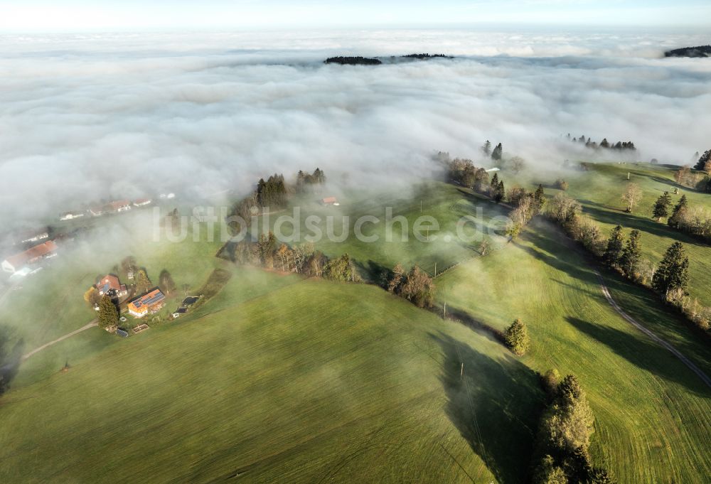 Luftbild Irsengund - Herbstluftbild Nebel- und Wolken- Schicht über Wald- und Wiesenlandschaft im Allgäu im Ortsteil Oberreute in Irsengund im Bundesland Bayern, Deutschland