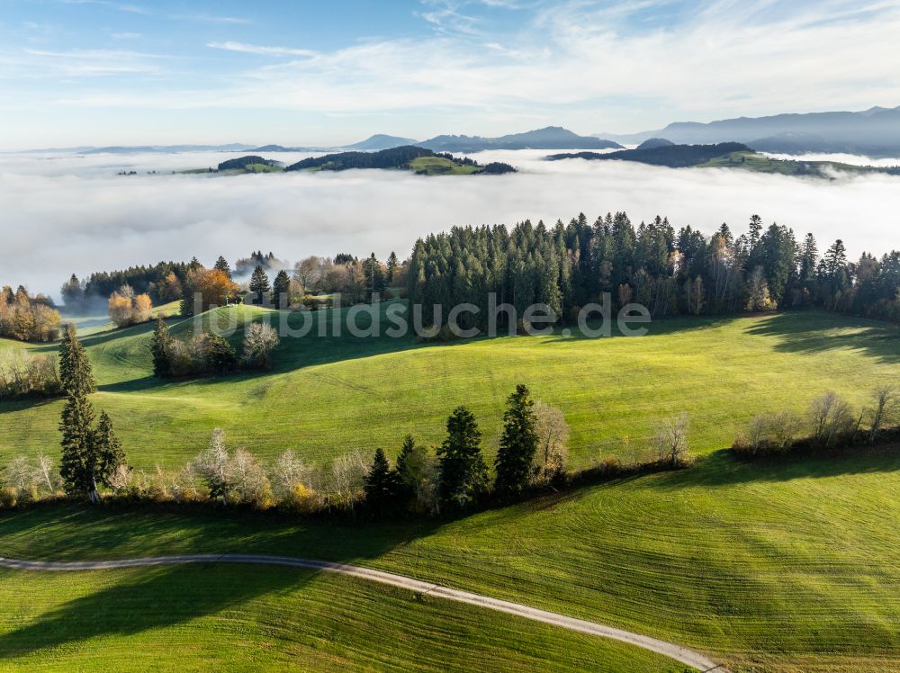 Irsengund aus der Vogelperspektive: Herbstluftbild Nebel- und Wolken- Schicht über Wald- und Wiesenlandschaft im Allgäu im Ortsteil Oberreute in Irsengund im Bundesland Bayern, Deutschland