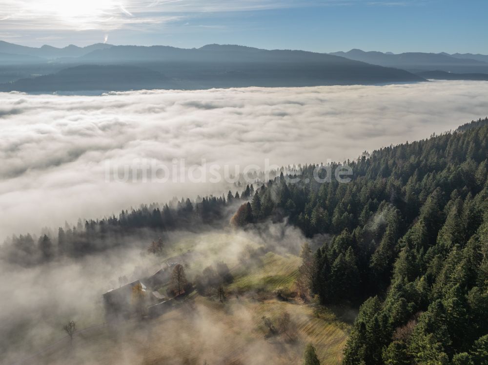 Irsengund aus der Vogelperspektive: Herbstluftbild Nebel- und Wolken- Schicht über Wald- und Wiesenlandschaft im Allgäu im Ortsteil Oberreute in Irsengund im Bundesland Bayern, Deutschland