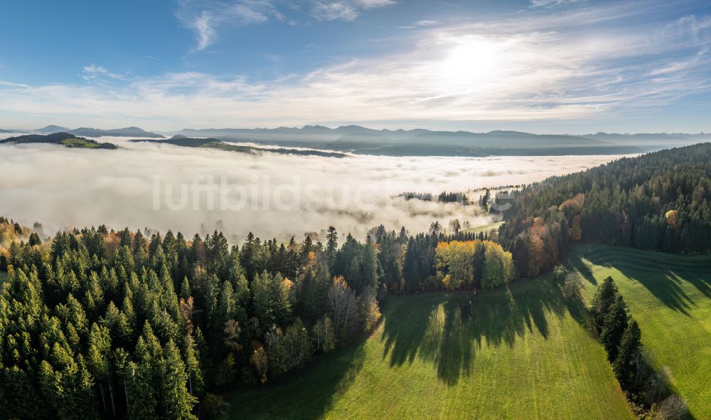 Irsengund aus der Vogelperspektive: Herbstluftbild Nebel- und Wolken- Schicht über Wald- und Wiesenlandschaft im Allgäu im Ortsteil Oberreute in Irsengund im Bundesland Bayern, Deutschland