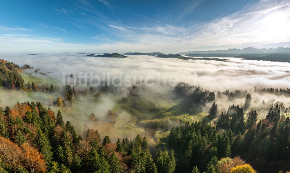 Luftaufnahme Irsengund - Herbstluftbild Nebel- und Wolken- Schicht über Wald- und Wiesenlandschaft im Allgäu im Ortsteil Oberreute in Irsengund im Bundesland Bayern, Deutschland