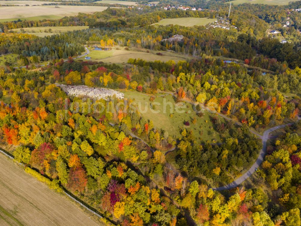 Tharandt von oben - Herbstluftbild Parkanlage Forstbotanischer Garten in Tharandt im Bundesland Sachsen, Deutschland