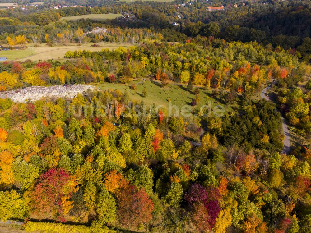 Tharandt aus der Vogelperspektive: Herbstluftbild Parkanlage Forstbotanischer Garten in Tharandt im Bundesland Sachsen, Deutschland