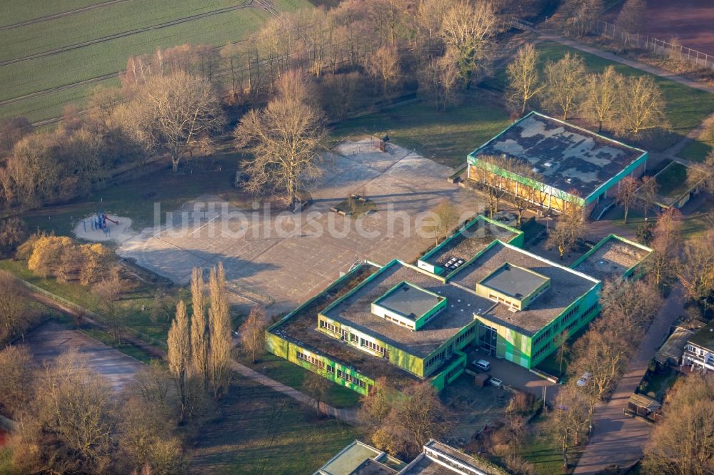 Dorsten aus der Vogelperspektive: Herbstluftbild Schulgebäude der Grüne Schule an der Talaue in Dorsten im Bundesland Nordrhein-Westfalen, Deutschland