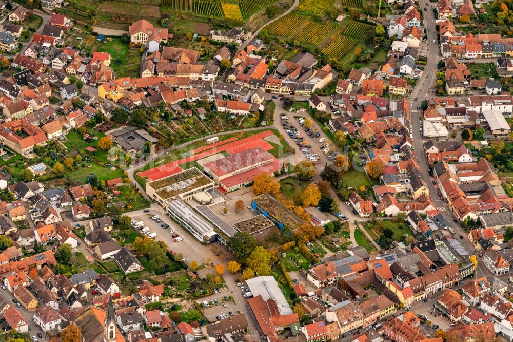 Ihringen von oben - Herbstluftbild Schulgebäude der Neunlinden-Schule mit Werkrealschule und die Kaiserstuhlhalle Ihringen in Ihringen im Bundesland Baden-Württemberg, Deutschland