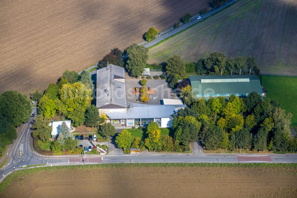 Menden (Sauerland) von oben - Herbstluftbild Schulgebäude der Nikolaus-Groß-Schule Bösperde im Ortsteil Bösperde in Menden (Sauerland) im Bundesland Nordrhein-Westfalen, Deutschland