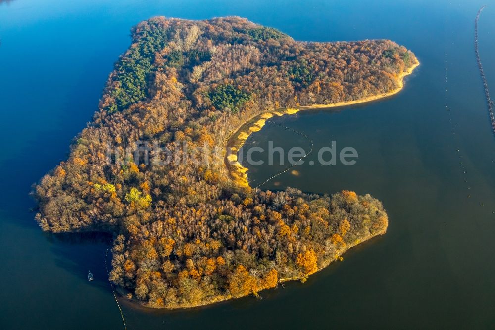 Haltern am See aus der Vogelperspektive: Herbstluftbild See- Insel im Halterner Stausee in Haltern am See im Bundesland Nordrhein-Westfalen, Deutschland