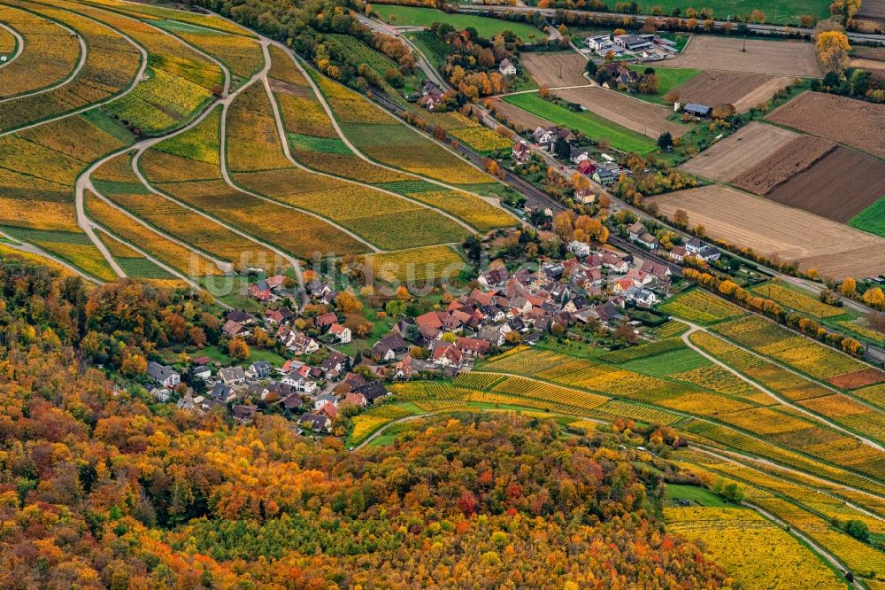 Luftbild Ebringen - Herbstluftbild Siedlungsgebiet Leutersberg in Ebringen im Bundesland Baden-Württemberg, Deutschland