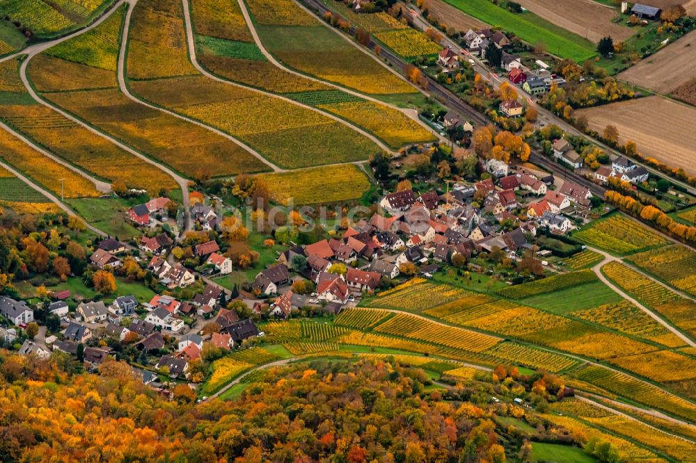 Ebringen aus der Vogelperspektive: Herbstluftbild Siedlungsgebiet Leutersberg in Ebringen im Bundesland Baden-Württemberg, Deutschland