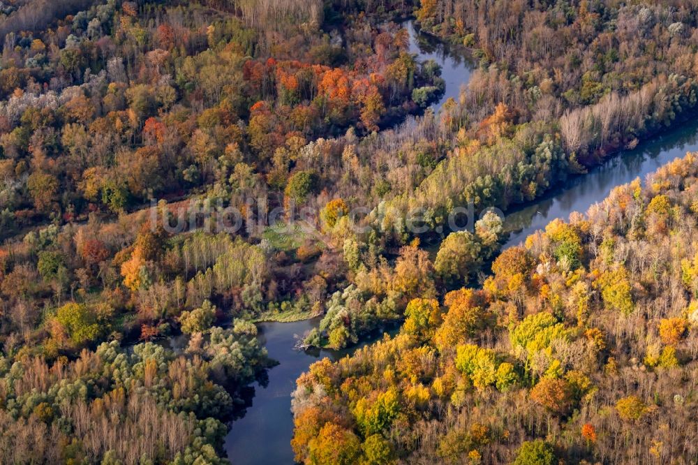 Luftbild Rheinau - Herbstluftbild Uferbereiche am Rhein Rheinauen - Taubergiessen in Rheinau im Bundesland Baden-Württemberg