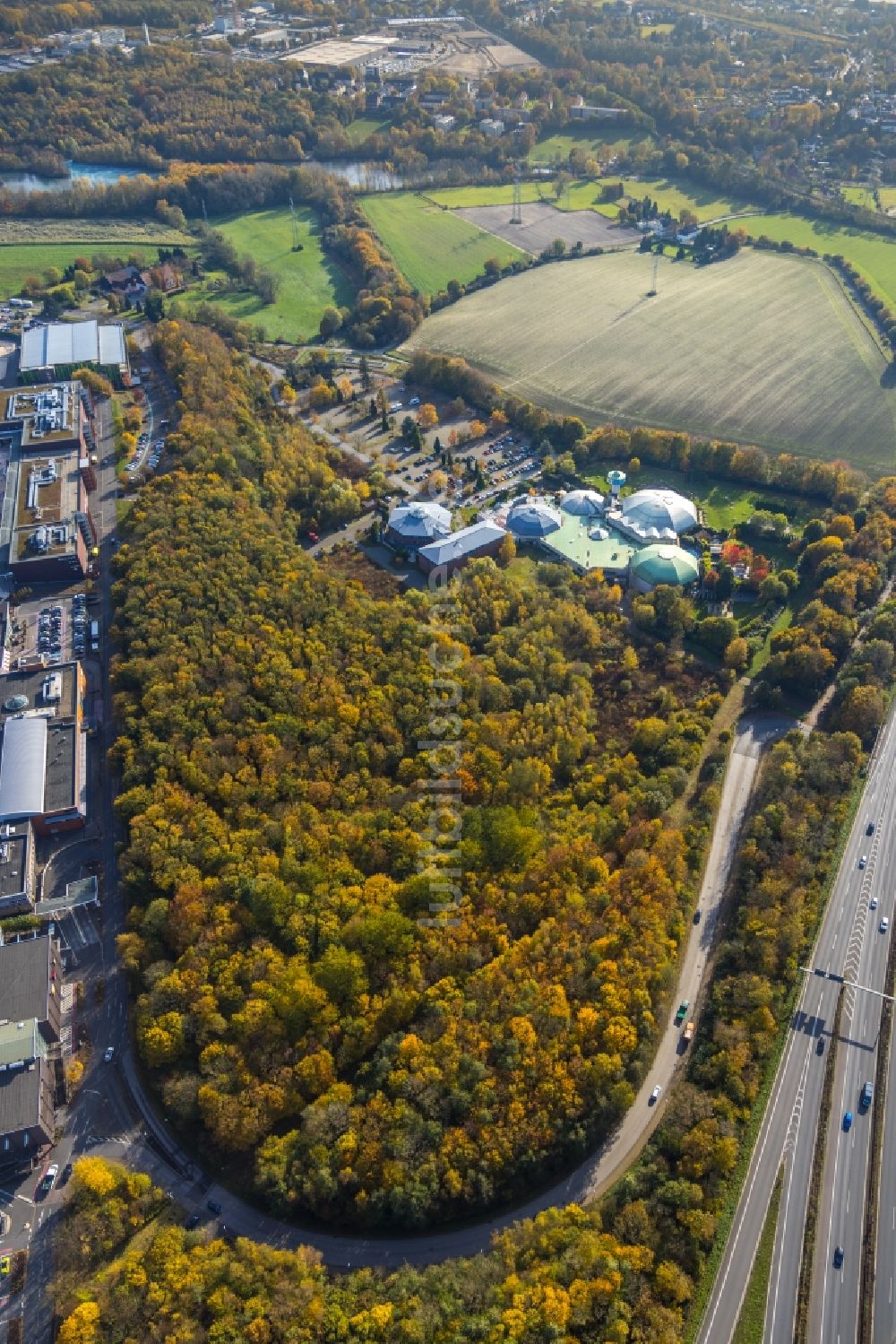 Bochum aus der Vogelperspektive: Herbstluftbild Wald um die Therme und Schwimmbecken am Freibad der Freizeiteinrichtung Medi Therme in Bochum im Bundesland Nordrhein-Westfalen, Deutschland