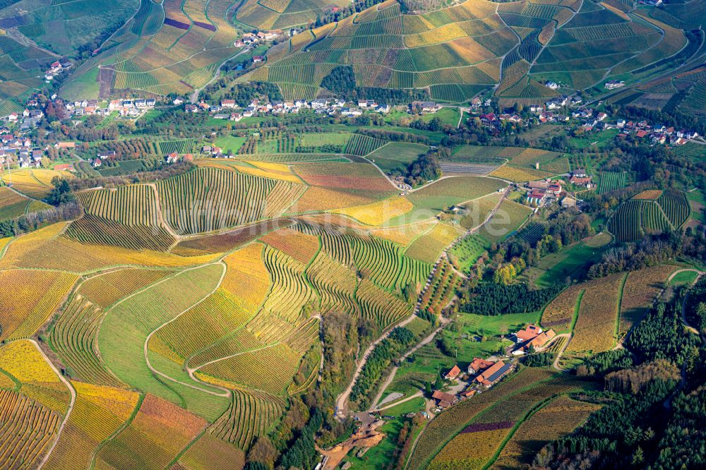 Luftbild Durbach - Herbstluftbild Weinbergs- Landschaft der Winzer- Gebiete in Durbach im Bundesland Baden-Württemberg, Deutschland