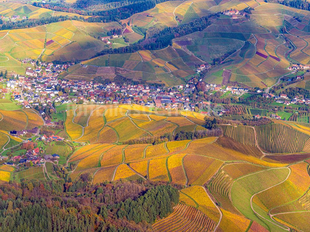 Durbach von oben - Herbstluftbild Weinbergs- Landschaft der Winzer- Gebiete in Durbach im Bundesland Baden-Württemberg, Deutschland