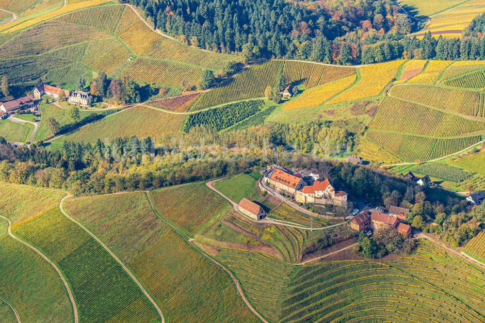 Durbach von oben - Herbstluftbild Weinbergs- Landschaft der Winzer- Gebiete in Durbach im Bundesland Baden-Württemberg, Deutschland