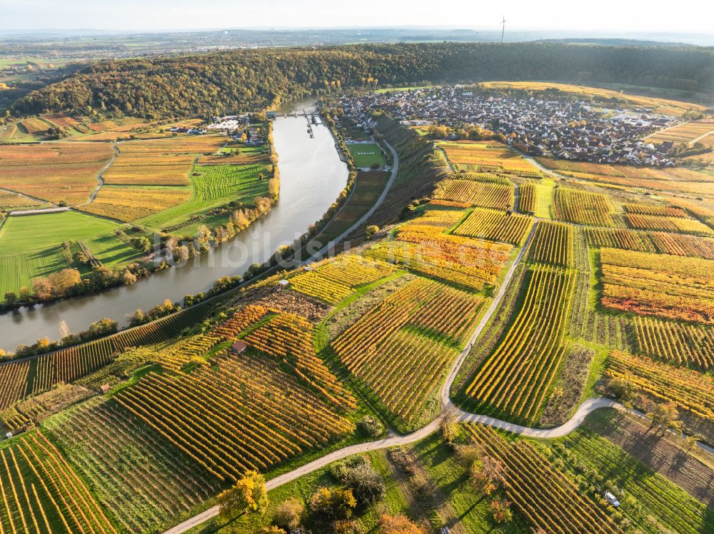 Luftaufnahme Mundelsheim - Herbstluftbild Weinbergs- Landschaft der Winzer- Gebiete in Mundelsheim im Bundesland Baden-Württemberg, Deutschland