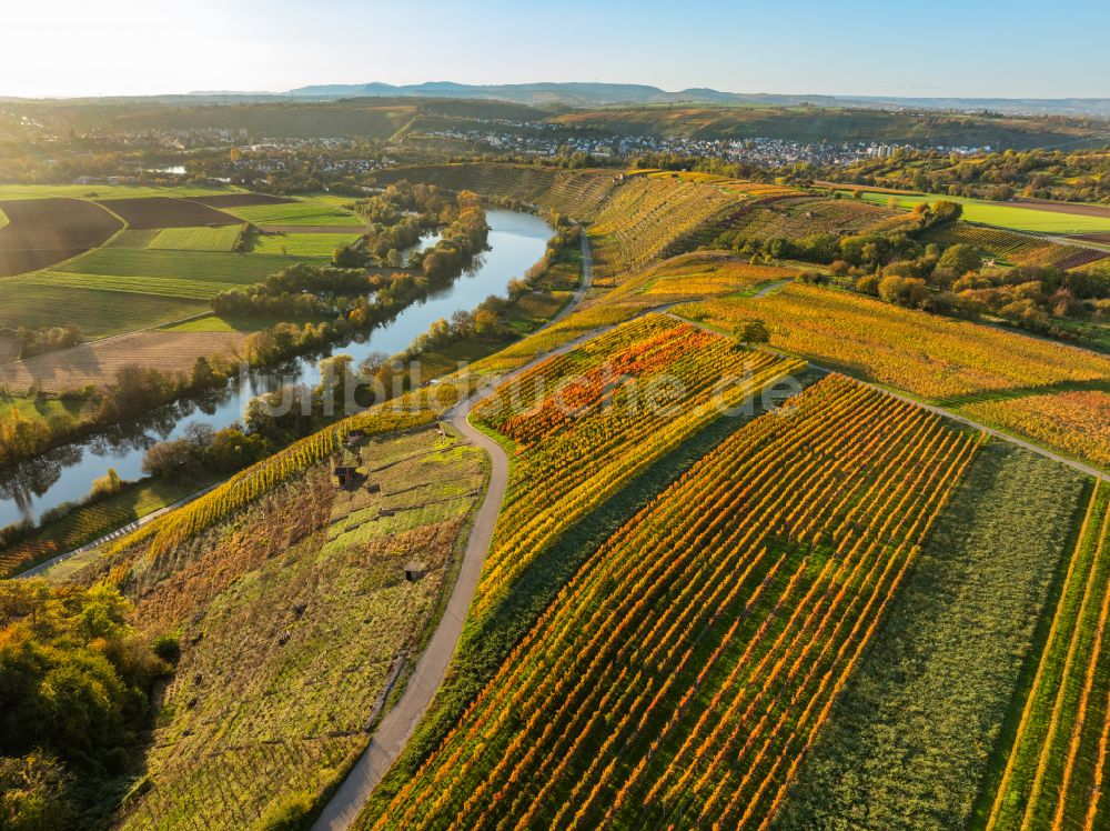 Mundelsheim von oben - Herbstluftbild Weinbergs- Landschaft der Winzer- Gebiete in Mundelsheim im Bundesland Baden-Württemberg, Deutschland