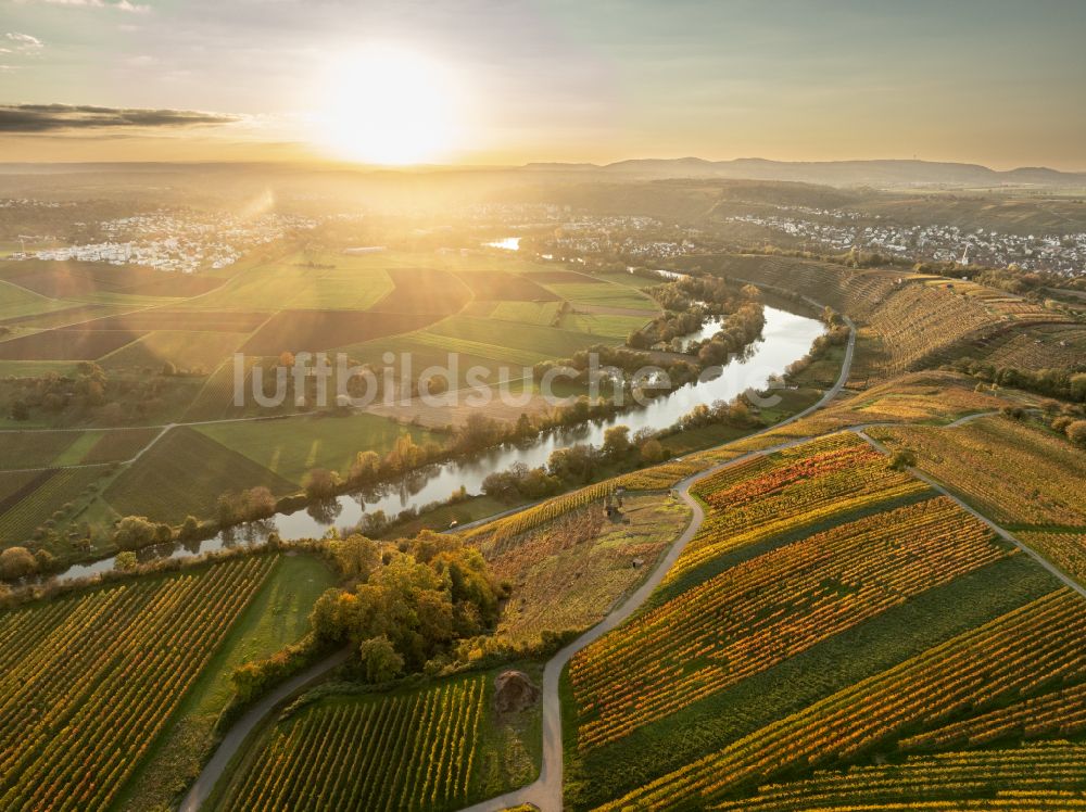 Mundelsheim aus der Vogelperspektive: Herbstluftbild Weinbergs- Landschaft der Winzer- Gebiete in Mundelsheim im Bundesland Baden-Württemberg, Deutschland