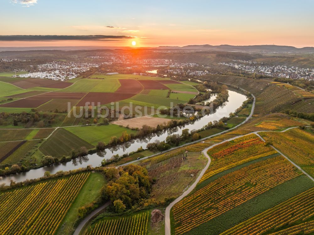 Luftbild Mundelsheim - Herbstluftbild Weinbergs- Landschaft der Winzer- Gebiete in Mundelsheim im Bundesland Baden-Württemberg, Deutschland