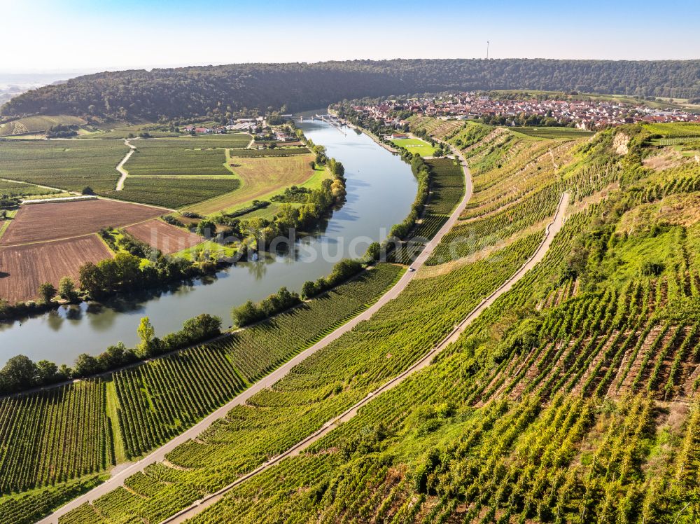 Mundelsheim aus der Vogelperspektive: Herbstluftbild Weinbergs- Landschaft der Winzer- Gebiete in Mundelsheim im Bundesland Baden-Württemberg, Deutschland