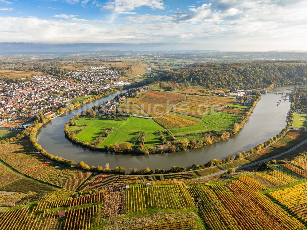 Luftaufnahme Mundelsheim - Herbstluftbild Weinbergs- Landschaft der Winzer- Gebiete in Mundelsheim im Bundesland Baden-Württemberg, Deutschland