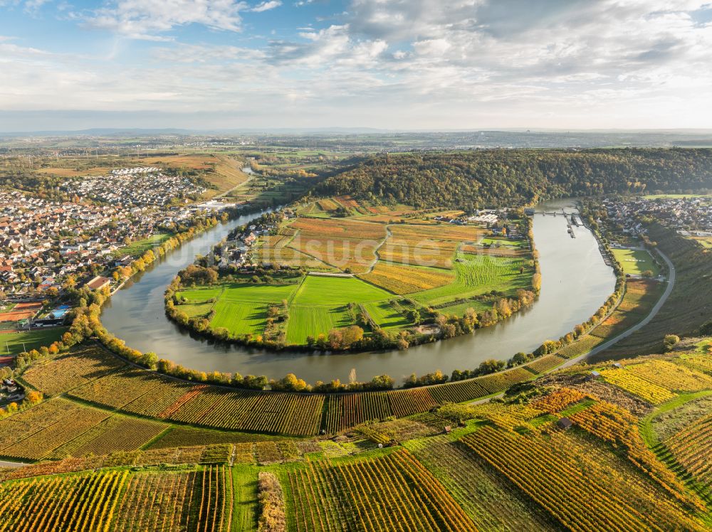 Mundelsheim von oben - Herbstluftbild Weinbergs- Landschaft der Winzer- Gebiete in Mundelsheim im Bundesland Baden-Württemberg, Deutschland