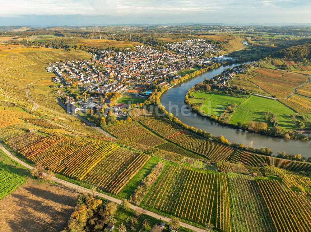 Mundelsheim aus der Vogelperspektive: Herbstluftbild Weinbergs- Landschaft der Winzer- Gebiete in Mundelsheim im Bundesland Baden-Württemberg, Deutschland