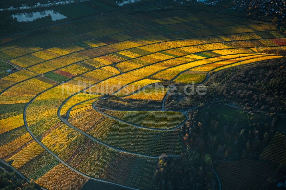 Luftaufnahme Thüngersheim - Herbstluftbild Weinbergs- Landschaft der Winzer- Gebiete in Thüngersheim im Bundesland Bayern, Deutschland