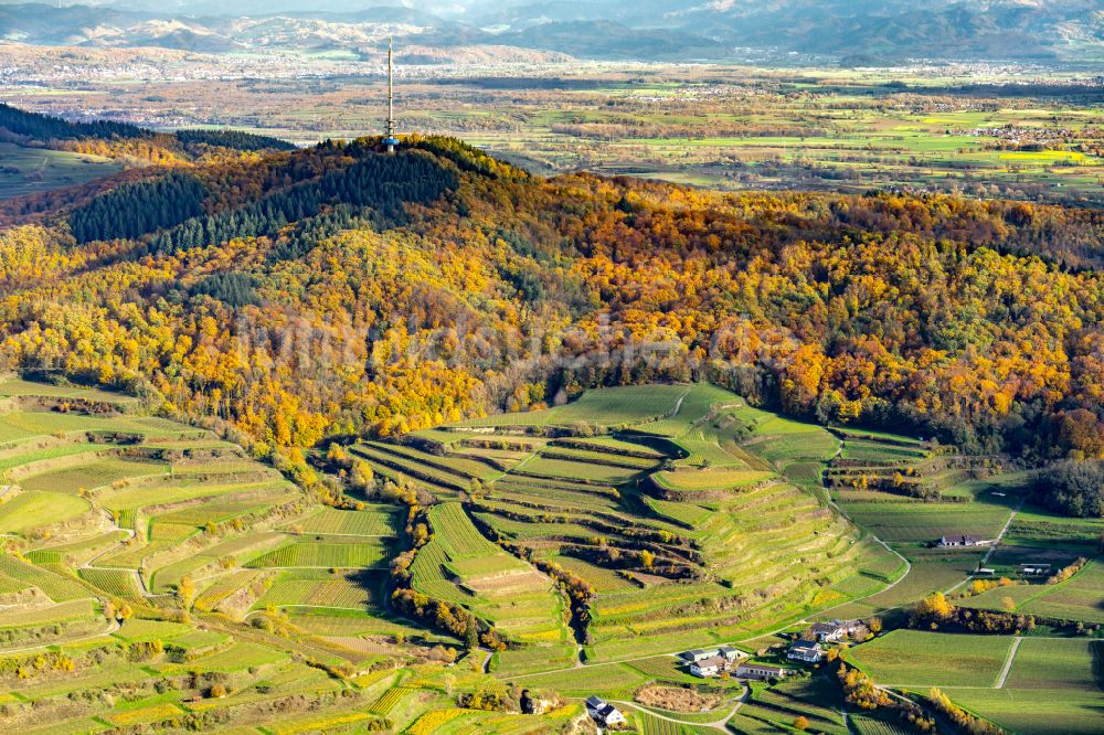 Vogtsburg Im Kaiserstuhl Aus Der Vogelperspektive: Herbstluftbild ...